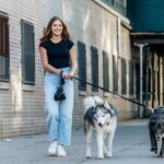 dog-walking-business-is-booming-in-nyc-again-—-here’s-why-it’s-so-doggone-bonkers