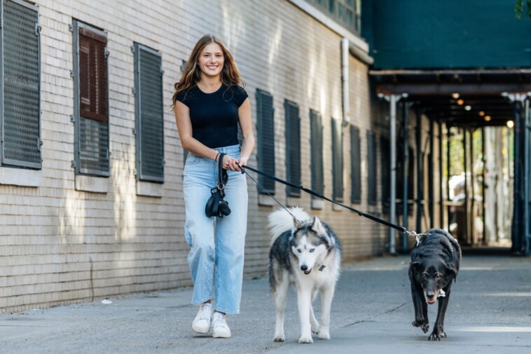 dog-walking-business-is-booming-in-nyc-again-—-here’s-why-it’s-so-doggone-bonkers