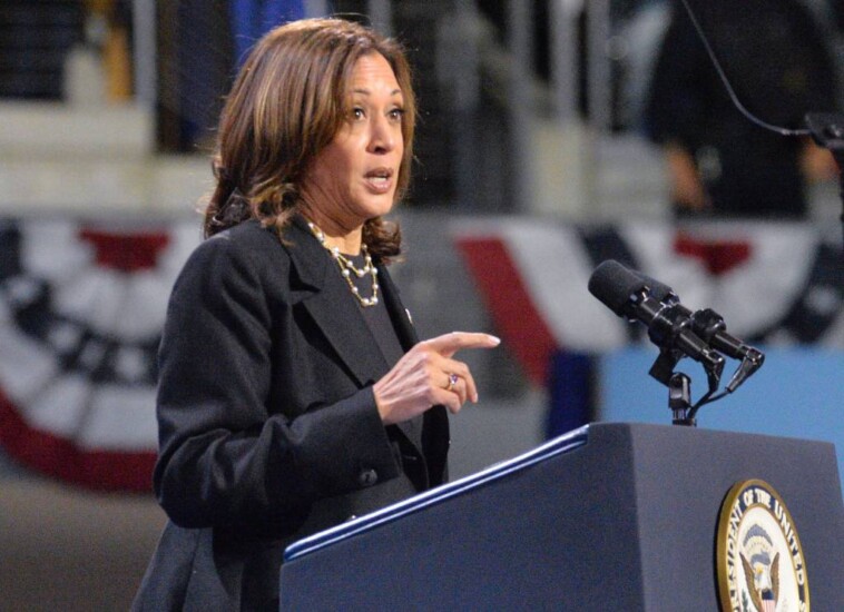 kamala-harris’-book-publisher-directing-‘very-sensitive’-plagiarism-questions-to-higher-ups