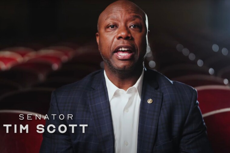 sen.-tim-scott’s-$1m-swing-state-ad-buy-bets-school-choice-will-move-voters,-decide-close-races