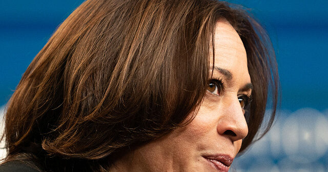 ‘why-isn’t-she-working-hard’:-political-experts-question-kamala-harris’s-closing-strategy