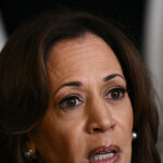 nolte:-nyt-expert-who-cleared-kamala-harris-of-plagiarism-admits-he-didn’t-do-full-analysis