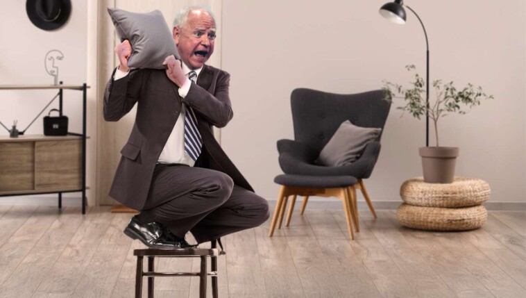 terrified-tim-walz-stands-on-chair-all-day-waiting-for-wife-to-get-home-and-kill-spider