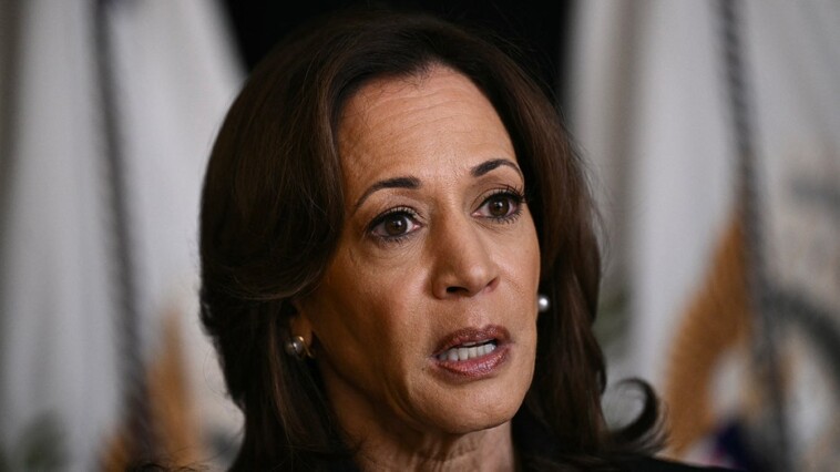 harris-support-for-evs-could-tank-campaign-in-critical-swing-state,-expert-says