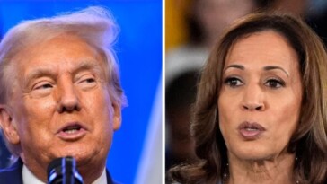 betting-markets-deliver-trump-a-commanding-lead-over-harris