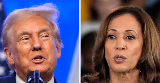 betting-markets-deliver-trump-a-commanding-lead-over-harris