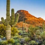 retirement-home-sued-after-70-year-old-man-is-found-dead-in-arizona-desert