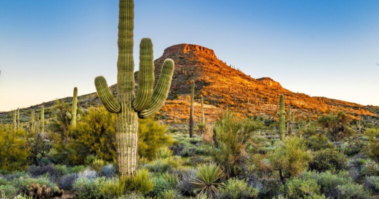 retirement-home-sued-after-70-year-old-man-is-found-dead-in-arizona-desert