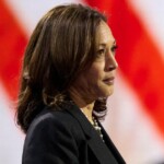 kamala-harris-hit-with-another-plagiarism-allegation-a-day-after-scandal-erupts:-‘we-can-keep-this-going’