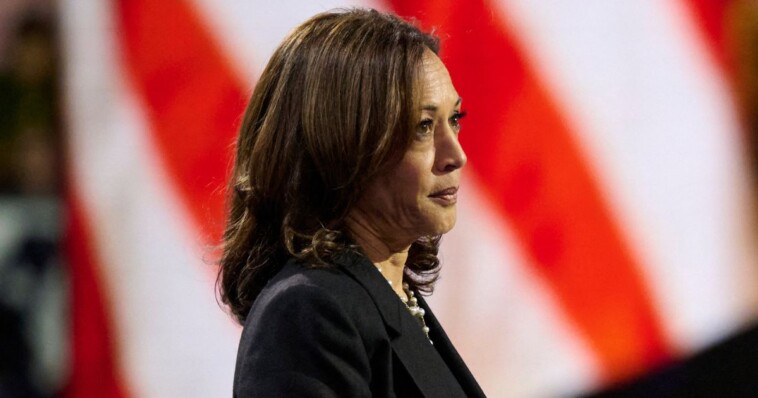 kamala-harris-hit-with-another-plagiarism-allegation-a-day-after-scandal-erupts:-‘we-can-keep-this-going’