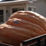 must-see:-firefighter-grows-record-breaking-1-ton-pumpkin