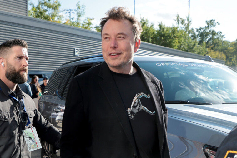 why-the-left-is-willing-to-do-anything-they-can-to-take-down-elon-musk