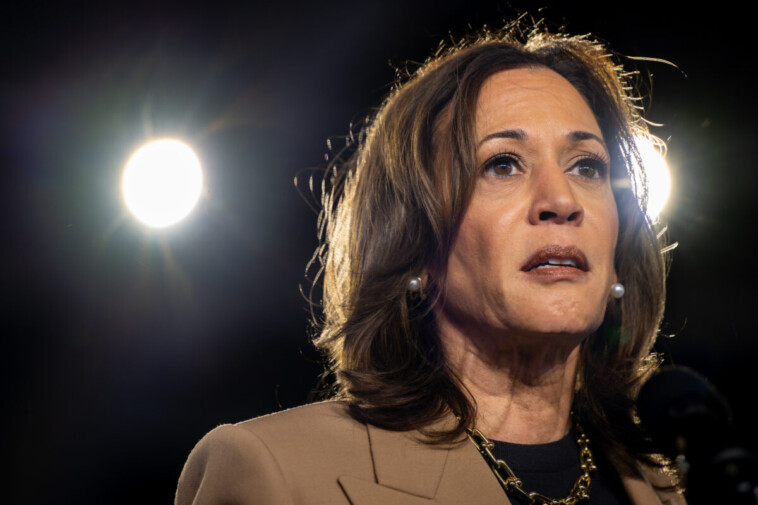 top-bloomberg-editor-calls-out-kamala-for-declining-interview