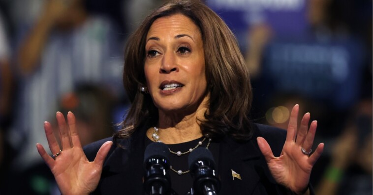 top-democrats-in-battleground-pennsylvania-are-not-happy-with-the-harris-campaign:-‘everybody’s-very-nervous’