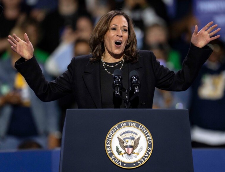 pennsylvania-dems-rip-harris-campaign- just-weeks-before-election:-‘awol,’-‘being-out-messaged’