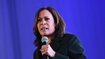 kamala-harris-attempts-to-court-black-male-voters-at-bet-hip-hop-awards,-freaks-on-‘weak’-trump