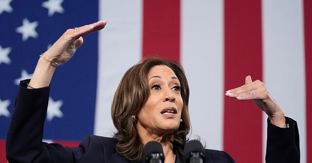 report-—-‘such-a-mess’:-chaos-reigns-over-the-harris-campaign-in pennsylvania