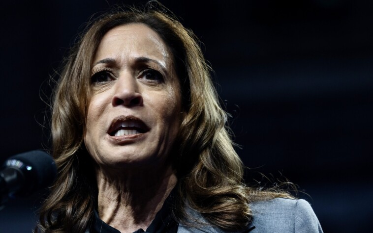 kamala-harris-implodes-over-question-on-her-disastrous-border-record:-‘i’m-not-finished!’