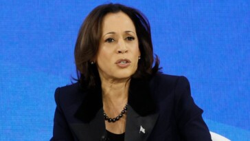 harris-campaign-and-mainstream-media-work-to-sweep-plagiarism-scandal-under-the-rug