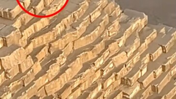 jaw-dropping-video-shows-barking-dog-on-top-of-great-pyramid-of-giza-in-surreal-scene