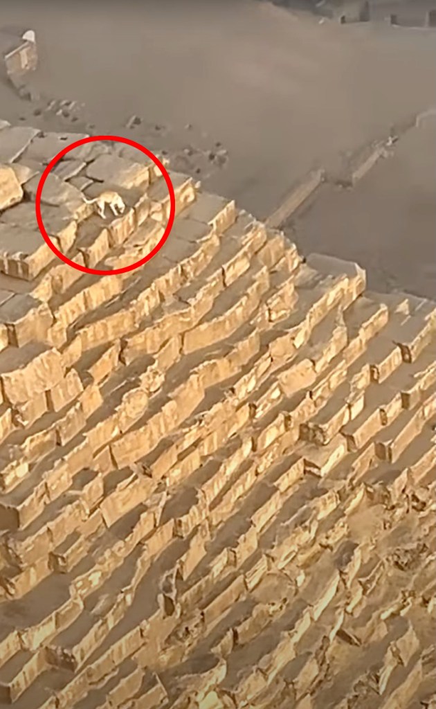 jaw-dropping-video-shows-barking-dog-on-top-of-great-pyramid-of-giza-in-surreal-scene