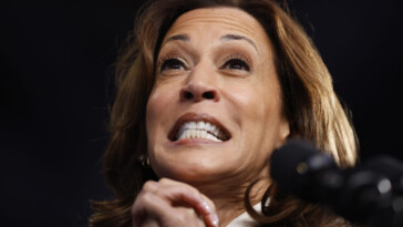 kamala-campaign-quietly-concedes-plan-for-black-men-is-actually-not-limited-by-race