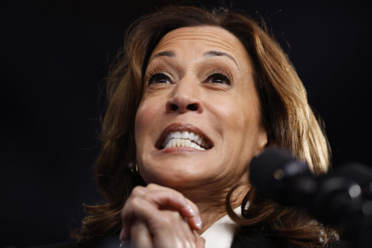 kamala-campaign-quietly-concedes-plan-for-black-men-is-actually-not-limited-by-race