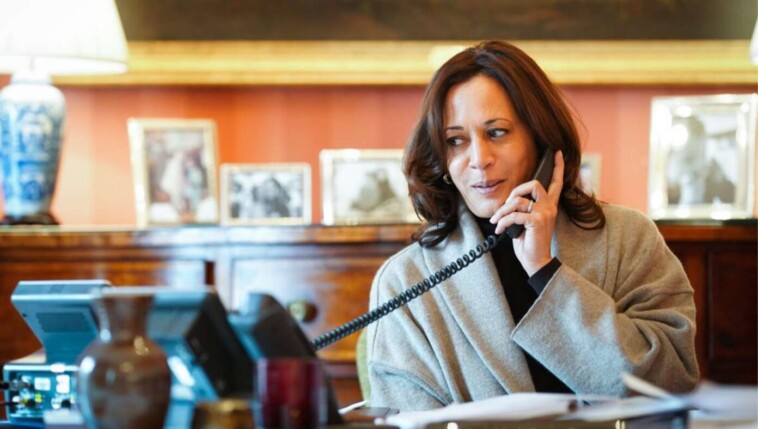 after-fox-interview,-kamala-calls-mcdonald’s-to-ask-if-her-old-job-still-available