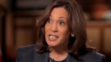 arab-american-newspaper-won’t-endorse-kamala-harris-after-decades-of-backing-democrats