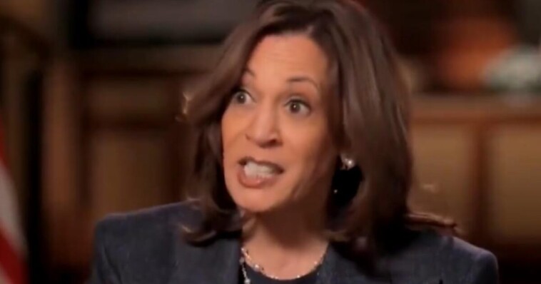 arab-american-newspaper-won’t-endorse-kamala-harris-after-decades-of-backing-democrats