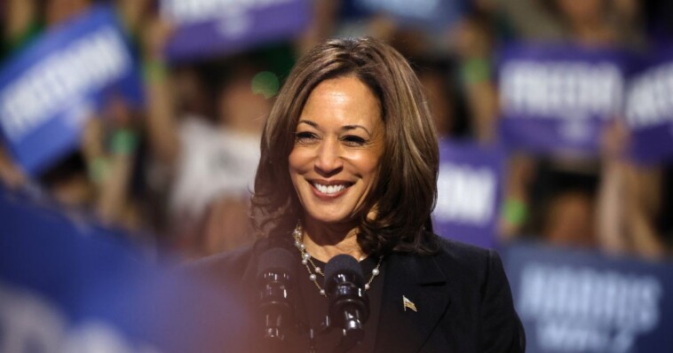 foreign-political-party-sending-staffers-to-battleground-states-to-help-kamala-harris