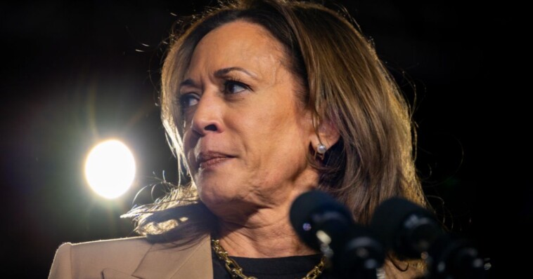 kamala-harris’-post-about-constitution-backfires-as-internet-sees-immediate-issue