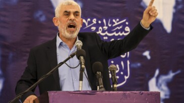 hamas-could-retaliate-by-killing-israeli-hostages-in-gaza-after-airstrike-eliminates-terror-leader-yahya-sinwar,-experts-warn