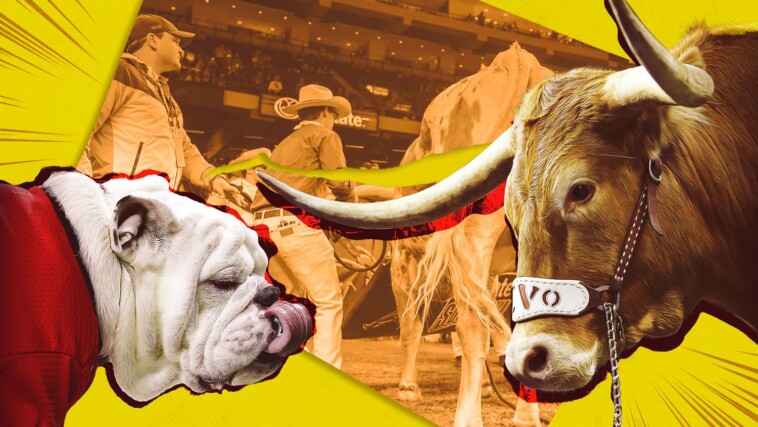 an-oral-history-of-when-bevo-charged-uga-at-the-sugar-bowl