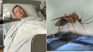 mosquito-bite-puts-dad-through-hell-after-giving-him-nasty-disease,-and-cases-are-rising