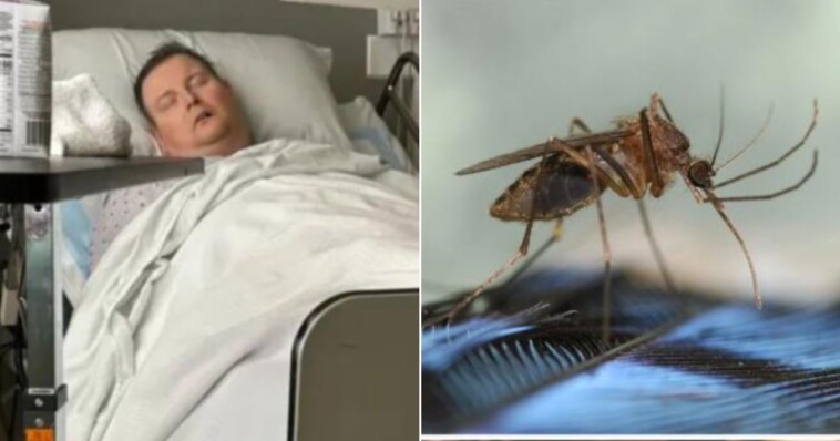 mosquito-bite-puts-dad-through-hell-after-giving-him-nasty-disease,-and-cases-are-rising