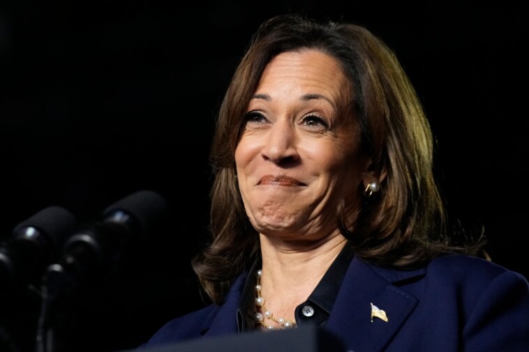 kamala-harris-makes-a-brutal-gaffe-in-speech-to-wisconsin-voters:-‘i-stood-up-to-veterans’ 