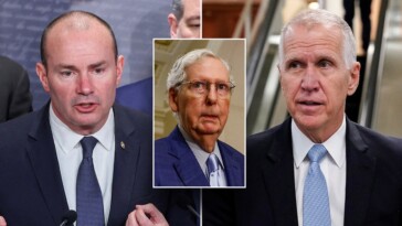 hard-line-gop-effort-to-decentralize-senate-leader-authority-dashed-by-mcconnell-ally