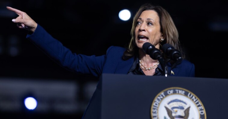 kamala-harris-mocks-audience-members-for-proclaiming-‘jesus-is-lord,’-says-‘you’re-at-the-wrong-rally’