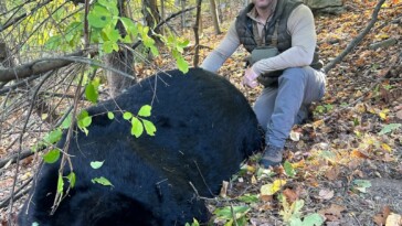 nj-hunter-kills-770-pound-black-bear,-setting-state-record:-‘smartest-animal-i’ve-chased’