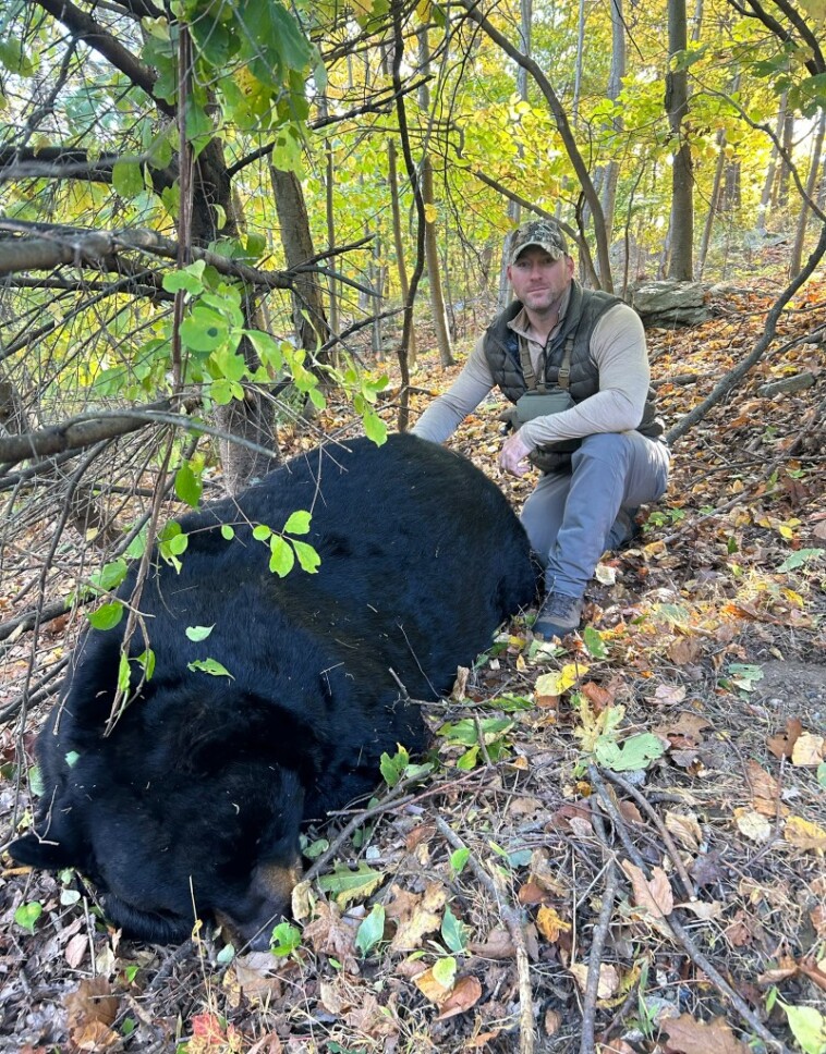 nj-hunter-kills-770-pound-black-bear,-setting-state-record:-‘smartest-animal-i’ve-chased’