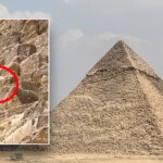 watch:-daring-dog-spotted-on-top-of-egypt’s-great-pyramid-makes-expert-descent-as-onlookers-gaze-in-amazement