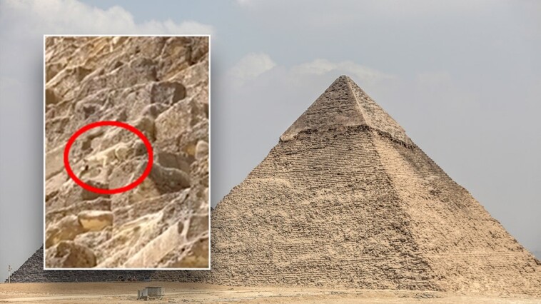 watch:-daring-dog-spotted-on-top-of-egypt’s-great-pyramid-makes-expert-descent-as-onlookers-gaze-in-amazement