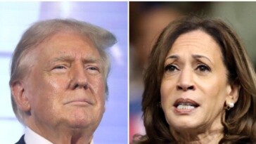 poll:-trump-leads-harris-by-three-points-in-georgia