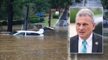 gop-lawmaker-in-hurricane-ravaged-georgia-demands-emergency-session-of-congress