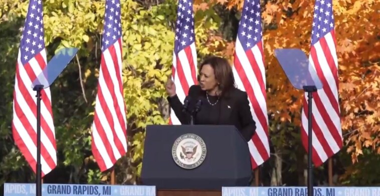 “never-again!-never-again!”-–-whoa!-kamala-harris-goes-on-unhinged-hillary-style-rant-in-michigan-(video)