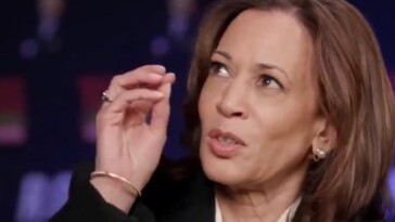 muslim-activists-‘blitzing’-mosques-in-michigan-to-thwart-kamala-harris,-slamming-her-‘blatant-disregard’-for-human-life