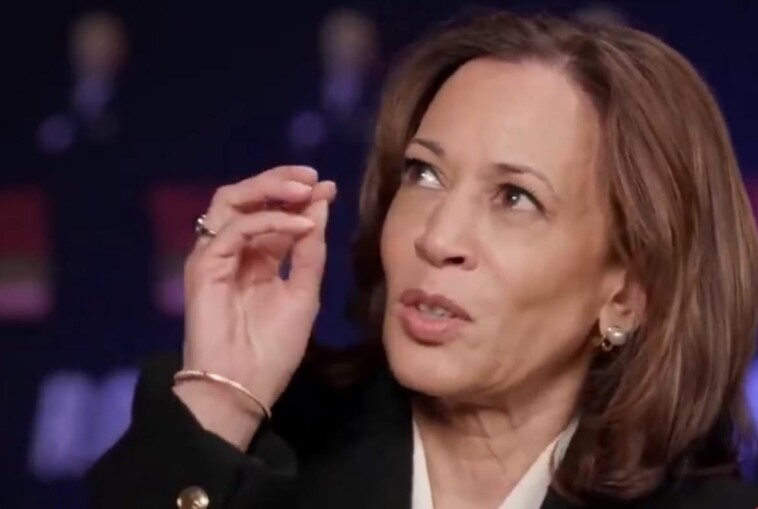 muslim-activists-‘blitzing’-mosques-in-michigan-to-thwart-kamala-harris,-slamming-her-‘blatant-disregard’-for-human-life