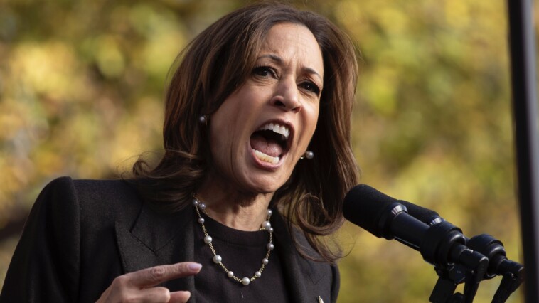 kamala-on-why-she-can’t-say-what-she’d-do-differently-than-biden:-‘vps-not-critical-of-their-presidents’