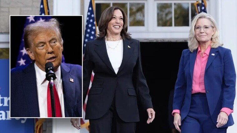 vp-harris-to-campaign-with-anti-trump-republican-liz-cheney-in-key-battleground-states